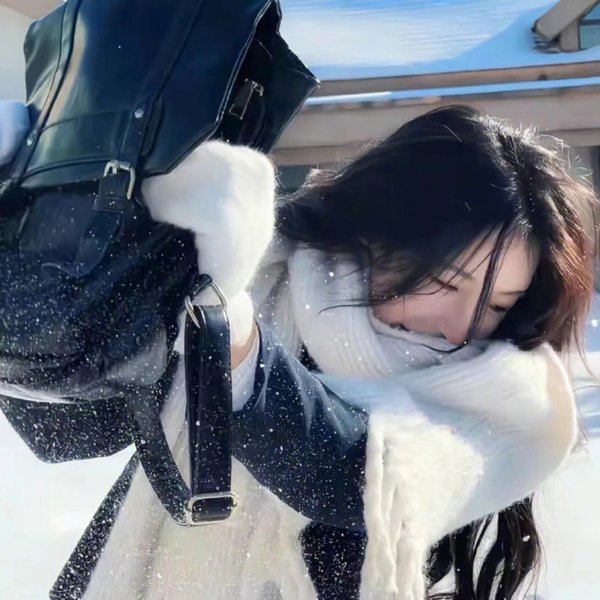 超级明星甘先生